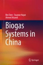 History of Biogas Production in China