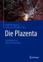 Plazentaentwicklung mit histologischen Aspekten