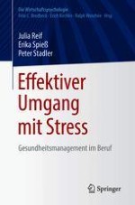 Stress verstehen