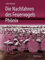 Der Zwergflamingo und seine Verwandten