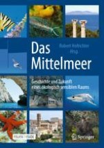 Einführendes zum Mittelmeer mit Zahlen, Bildern und Begriffserklärungen