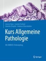 Allgemeine Histologie ausgewählter Organe