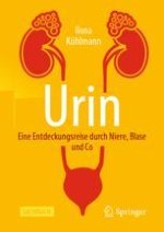 Bauplan des Harntrakts: Ein erster Überblick