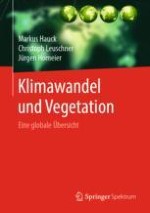 Globaler Klimawandel: die Grundlagen