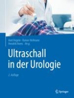 Grundlagen des Ultraschalls