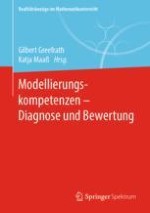 Diagnose und Bewertung beim mathematischen Modellieren