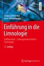 Buchtitelbild