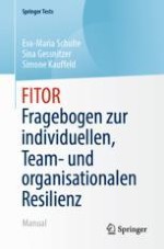 Kurzinformation über den Fragebogen zur Messung von individueller, Team- und organisationaler Resilienz (FITOR)