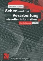 Einleitung: Sehen als Informationsverarbeitung