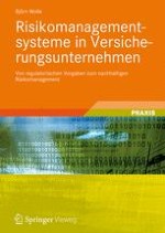 Gegenstand des Risikomanagements