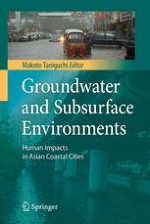 What are the Subsurface Environmental Problems?