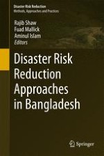 Disaster, Risk and Evolution of the Concept