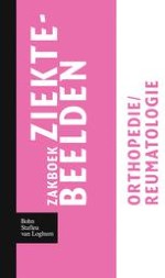 Omslag van het boek