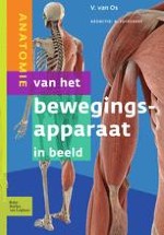 Anatomie van de heup