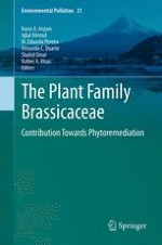 The Plant Family Brassicaceae: An Introduction