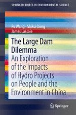 A Global Review of Large Dam Construction