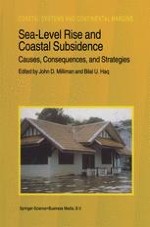 Sea-Level Rise and Coastal Subsidence: Towards Meaningful Strategies