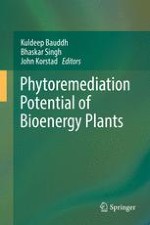 Phytoremediation: A Multidimensional and Ecologically Viable Practice for the Cleanup of Environmental Contaminants