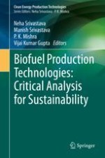 Biofuels: Types and Process Overview