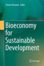 Understanding Bioeconomy Systems: Integrating Economic, Organisational and Policy Concepts