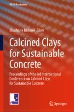 The Experience of Cuba TRC on the Survey of Kaolinitic Clay Deposits as Source of SCMs—Main Outcomes and Learned Lessons