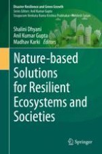 Opportunities and Advances to Mainstream Nature-Based Solutions in Disaster Risk Management and Climate Strategy