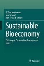 Exploring the Economics of the Circular Bioeconomy