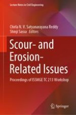 Mechanics and Countermeasures of Scour and Internal Erosion: Tsunami/Wave-Seabed-Structure Interaction