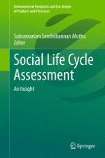 A Review of Social Life Cycle Assessment Methodologies