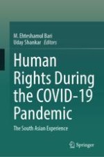 Human Rights in South Asia During the COVID-19 Pandemic: An Overview