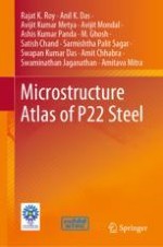 Metallurgy of P22 Steel