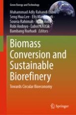 Current Progress on Biomass Pretreatment: The Key for Its Valorization