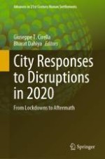 Urban Shocks from 2020: The Big Picture and Moving Forward