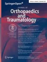 Journal of Orthopaedics and Traumatology 3/2013