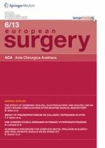 European Surgery 6/2013