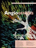 Angiogenesis 3/2020