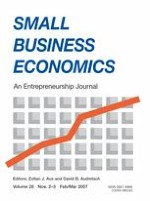 Small Business Economics 2-3/2007