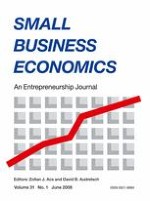 Small Business Economics 1/2008