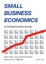 Small Business Economics 4/2010