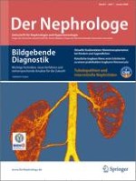 Multidetektor-Computertomographie (MDCT) bei Nieren- und ...