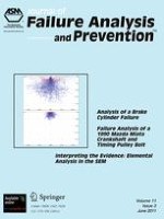Journal of Failure Analysis and Prevention 3/2011