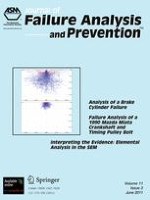 Journal of Failure Analysis and Prevention 3/2011