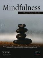 Mindfulness 2/2013