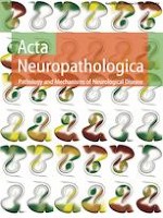 Acta Neuropathologica 5/2019