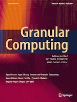 Granular Computing 2/2019