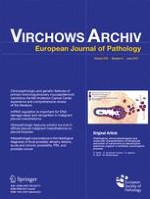 Virchows Archiv 6/2017