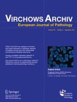 Virchows Archiv 3/2017