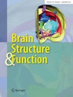Brain Structure and Function 1/1997