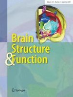 Brain Structure and Function 2/2007