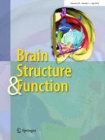 Brain Structure and Function 1/2010